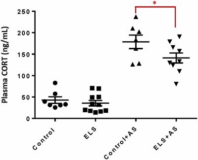 Early Life Stress Restricts Translational Reactivity in CA3 Neurons Associated With Altered Stress Responses in Adulthood